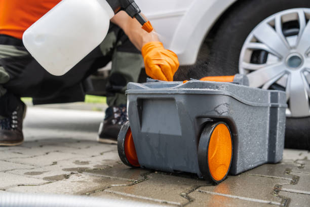 Best Tree Maintenance Programs  in Marist College, NY